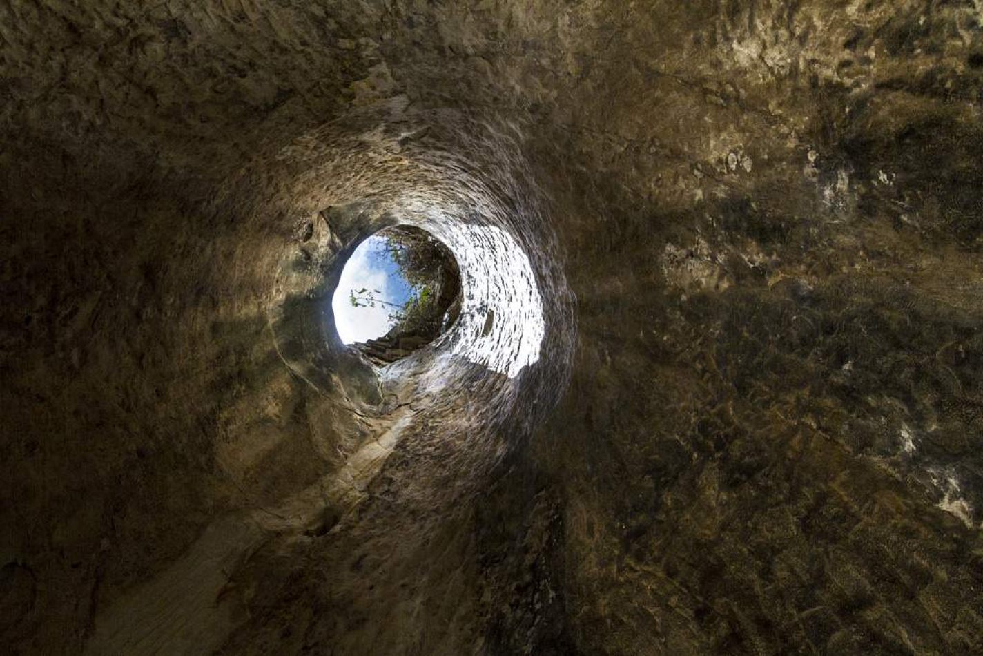 Storvandre: Sperlinga