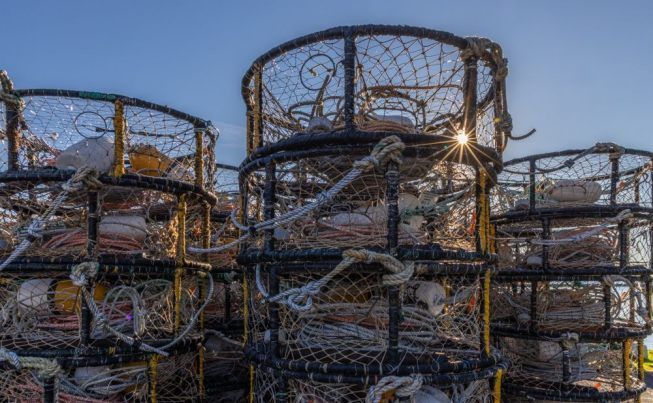 Lincoln City to Grant s Pass Newport Harbor