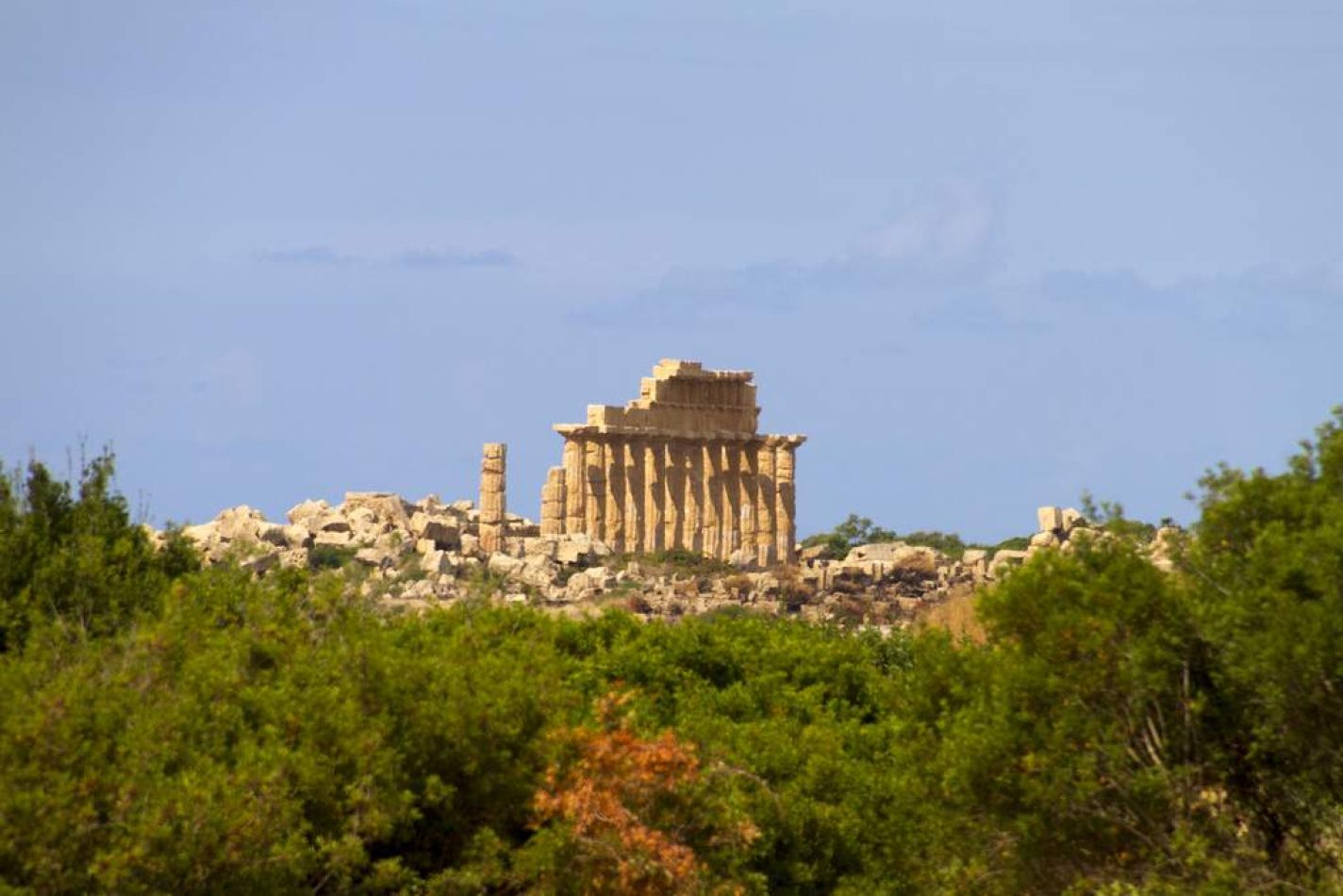 Storvandre: Selinunte