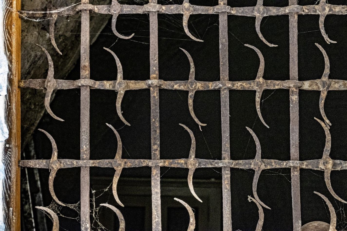 Storvandre: Pognana Lario