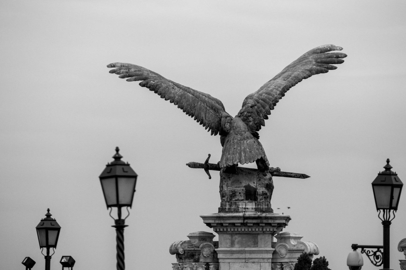 Storvandre: Budapest