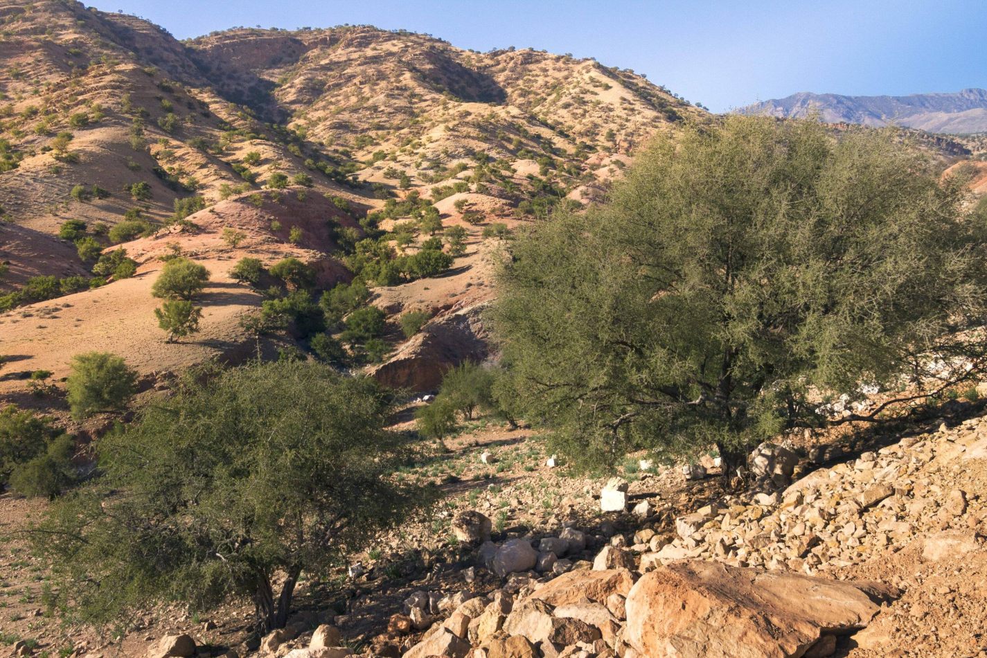 Storvandre: Tizi n Test Pass