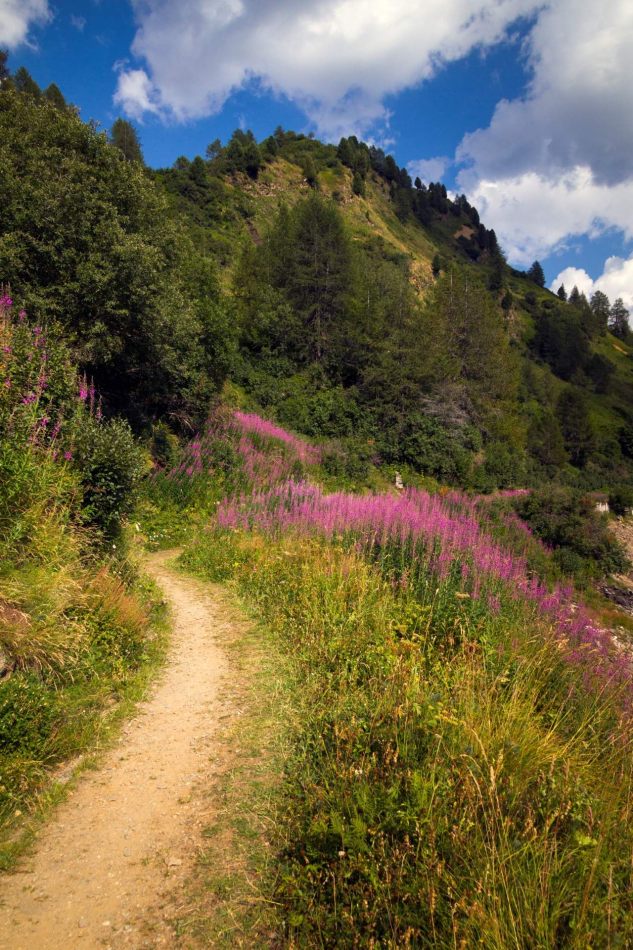 Storvandre: Ritom Lake