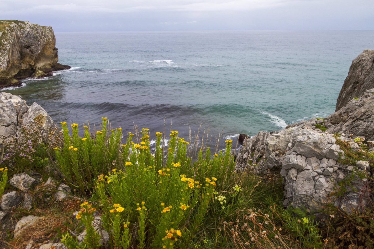 Storvandre: Playa de Guadamia