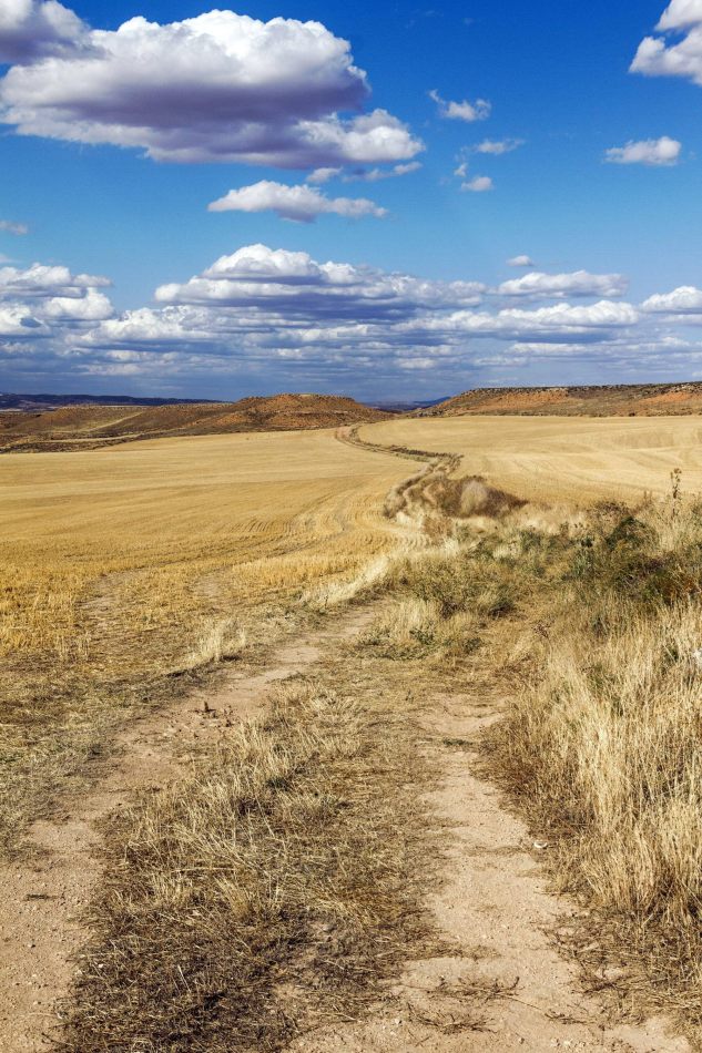 Storvandre: Montuenga