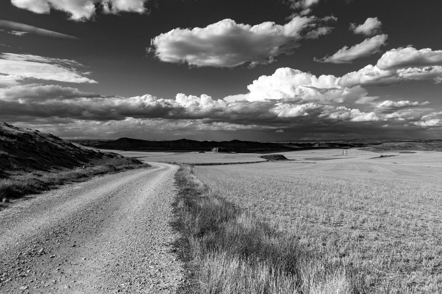 Storvandre: Montuenga