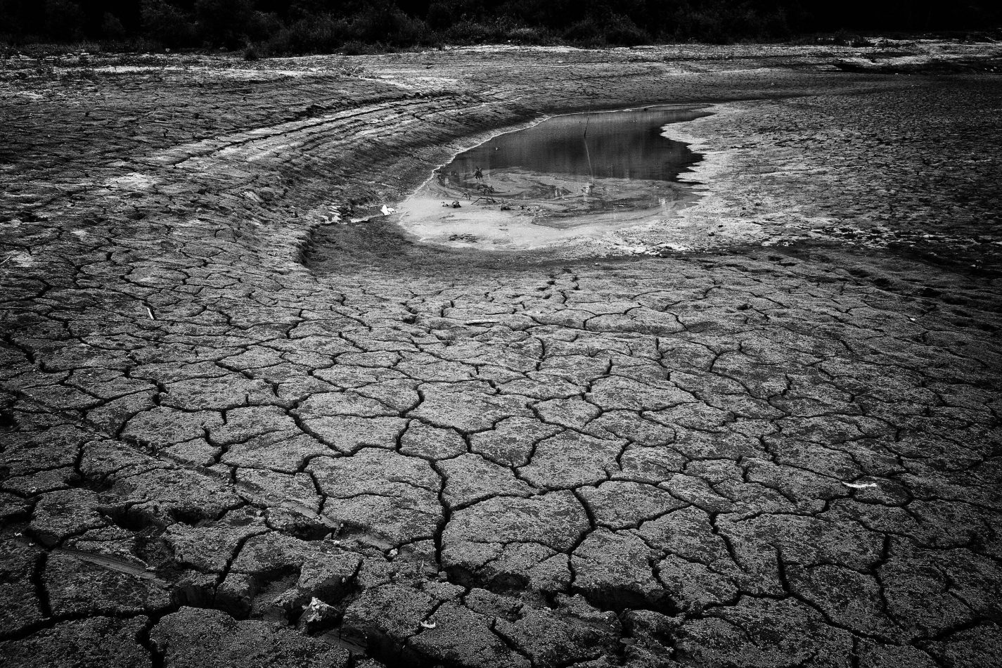 Storvandre: Mississippi