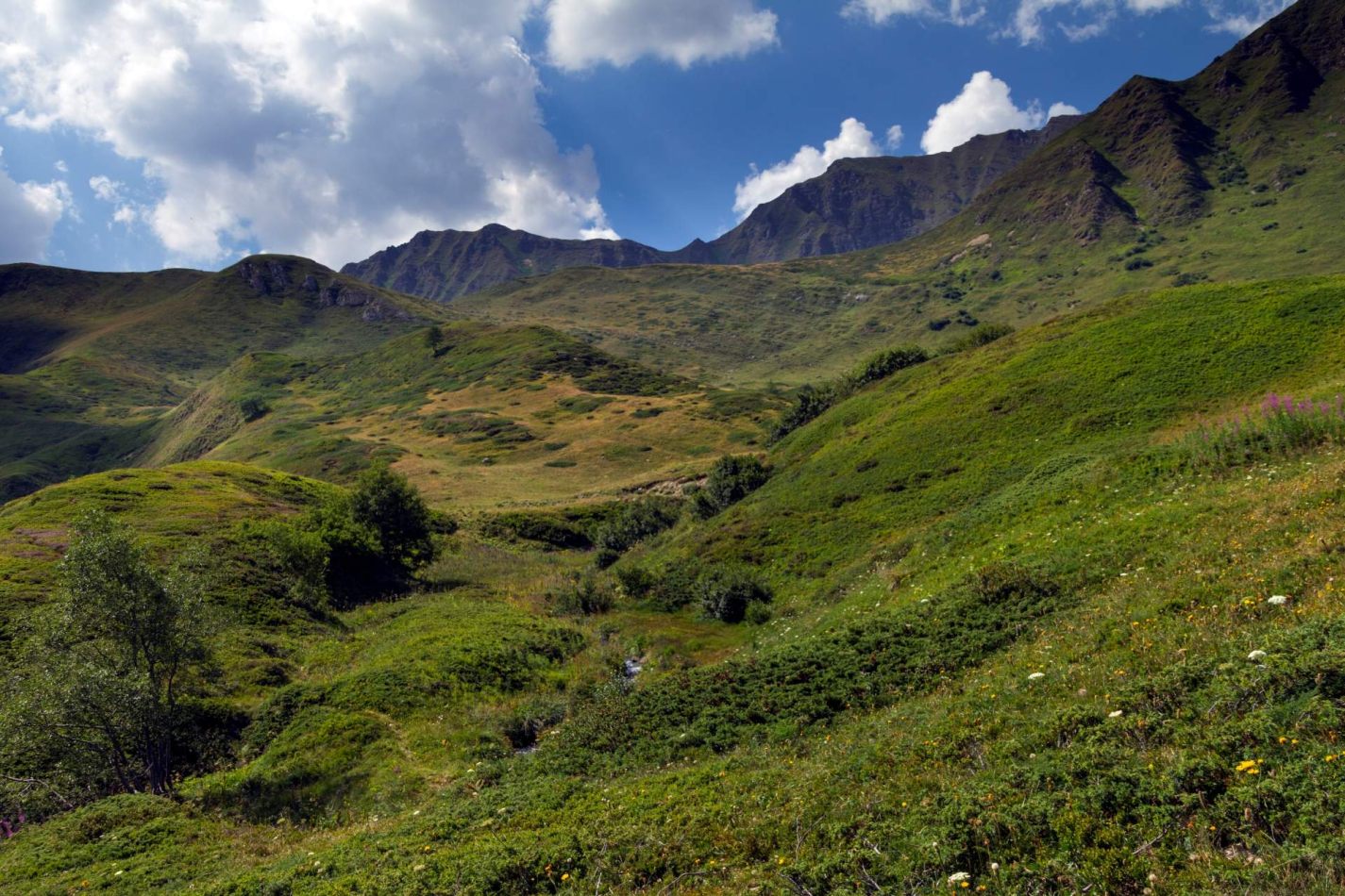 Storvandre: Ritom Lake