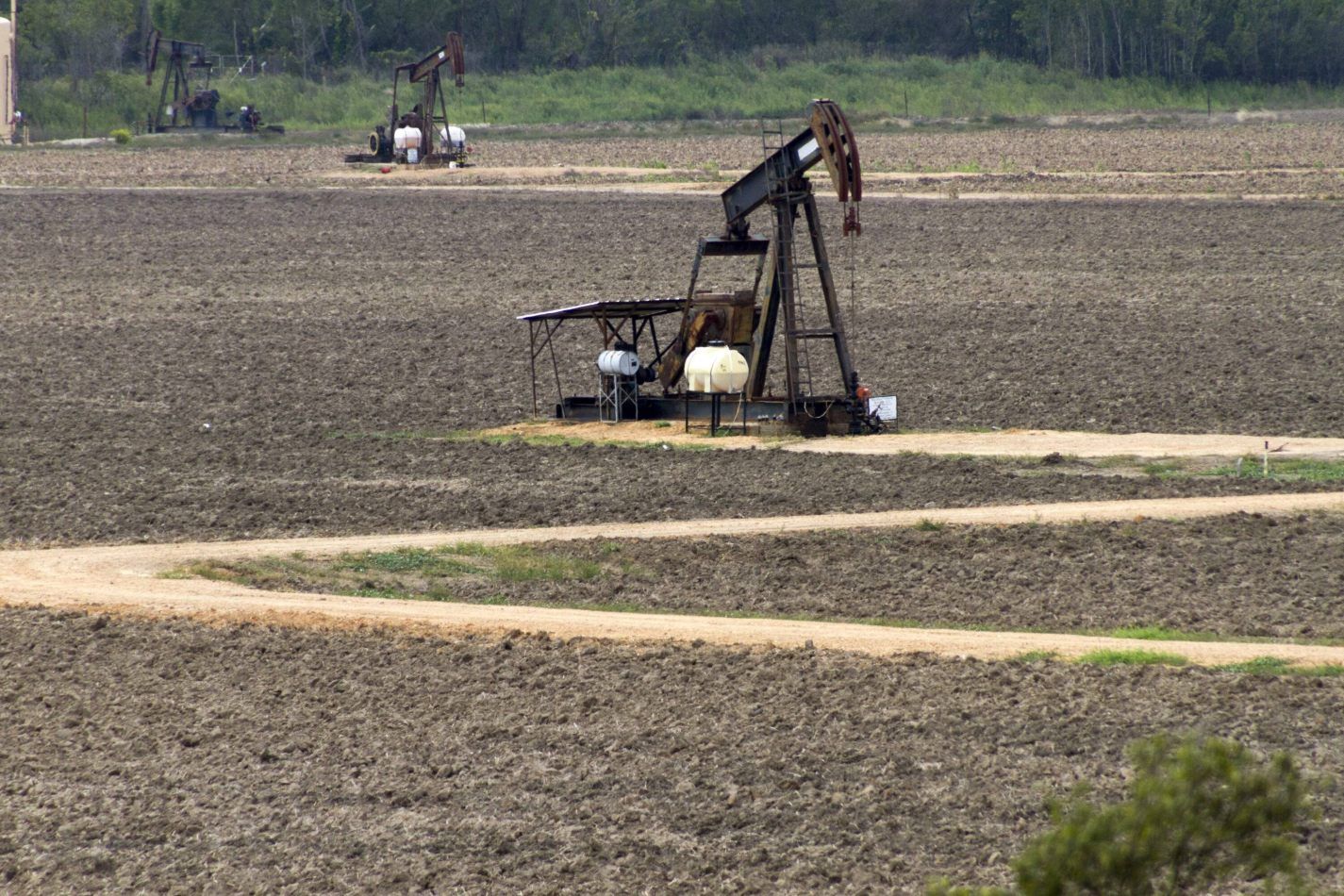 Storvandre: New Orleans