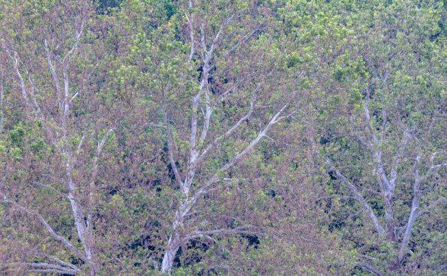 Wilmington Brandywine parks