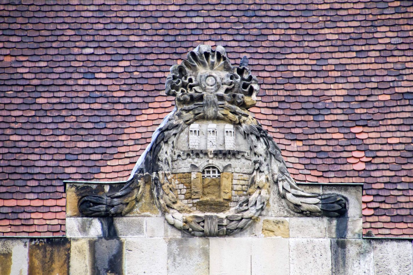 Storvandre: Budapest