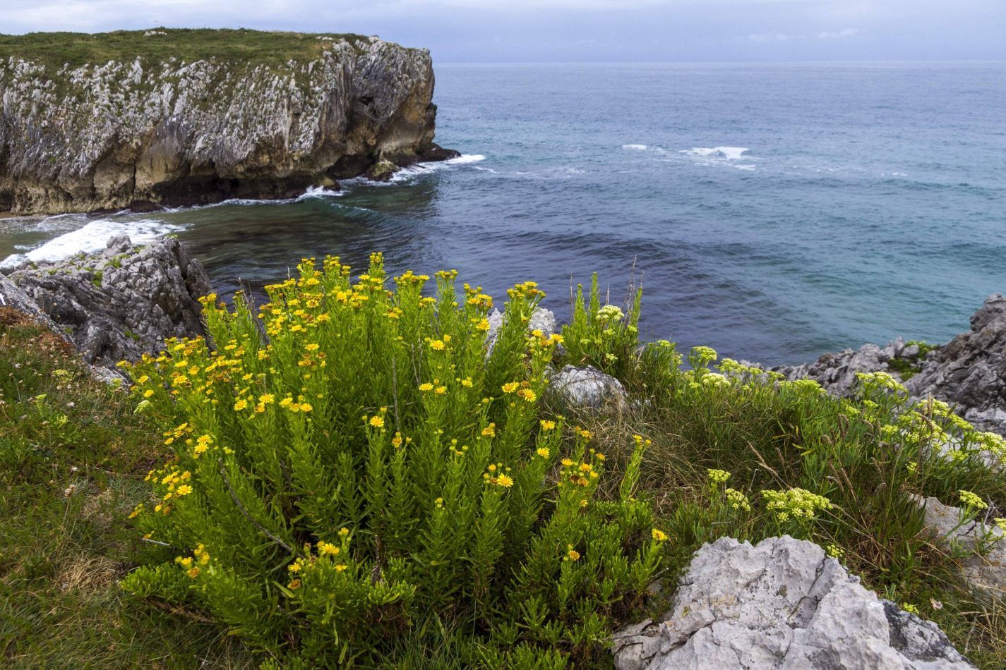 Storvandre: Playa de Guadamia