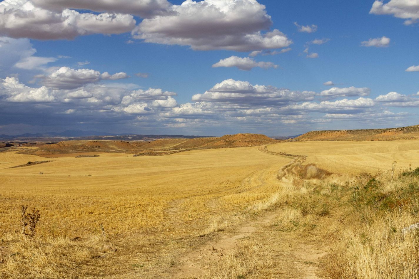 Storvandre: Montuenga