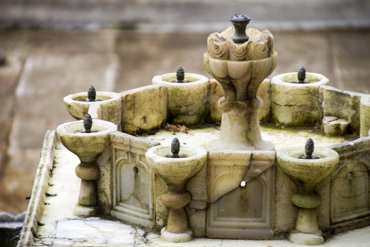 Storvandre: Istanbul