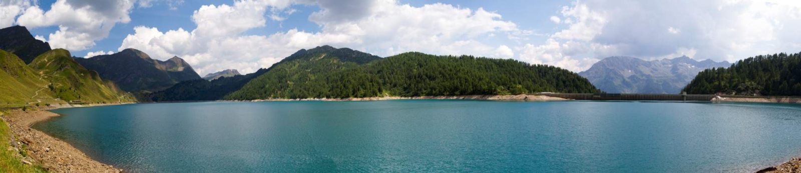 Storvandre: Ritom Lake