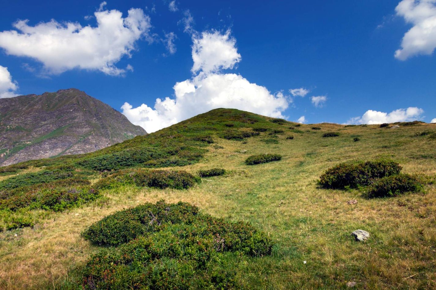 Storvandre: Ritom Lake