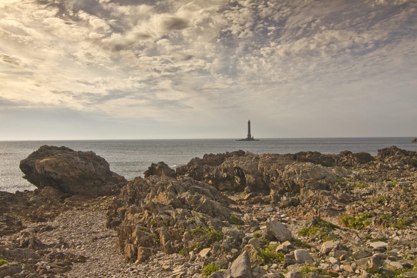 Storvandre: Cap de la Hague