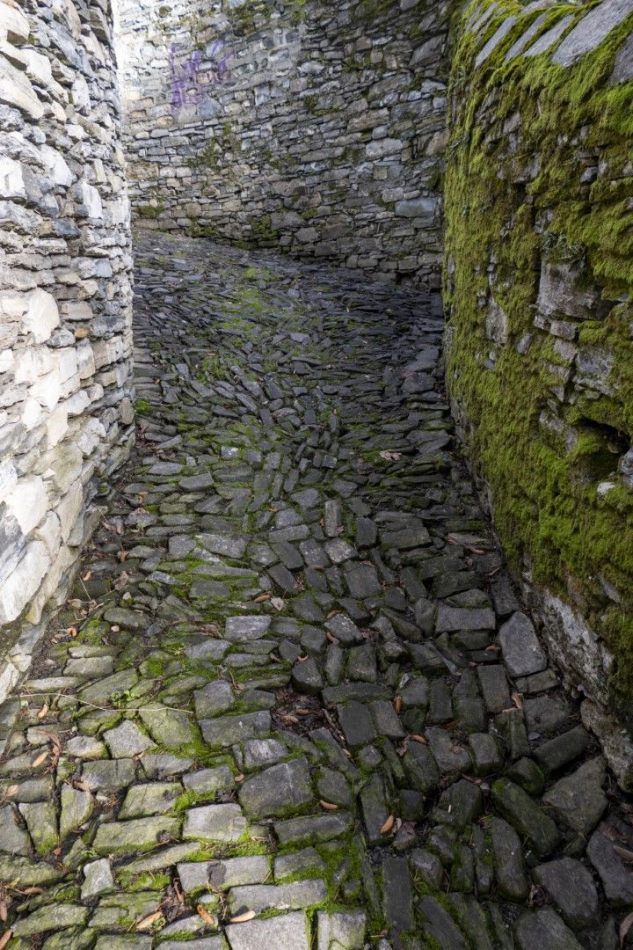 Storvandre: Carate Urio