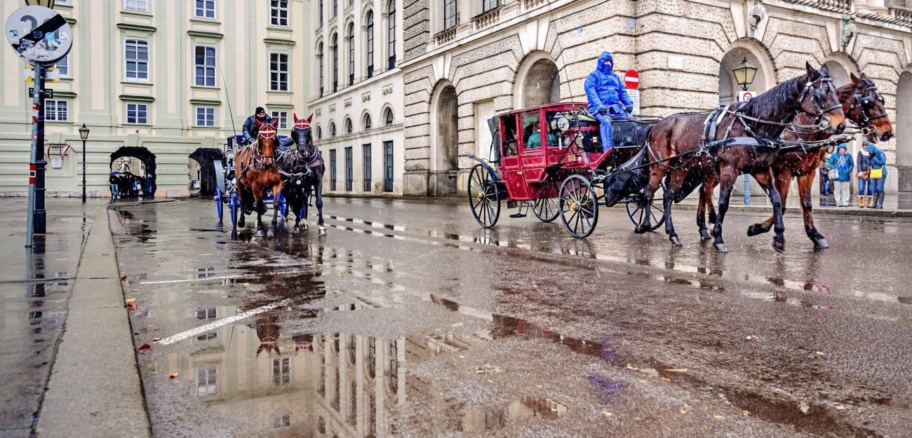 photos matching tag:vienna