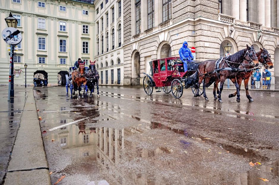 photos matching tag:vienna