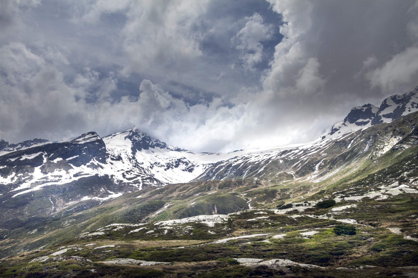 Storvandre: San Bernardino