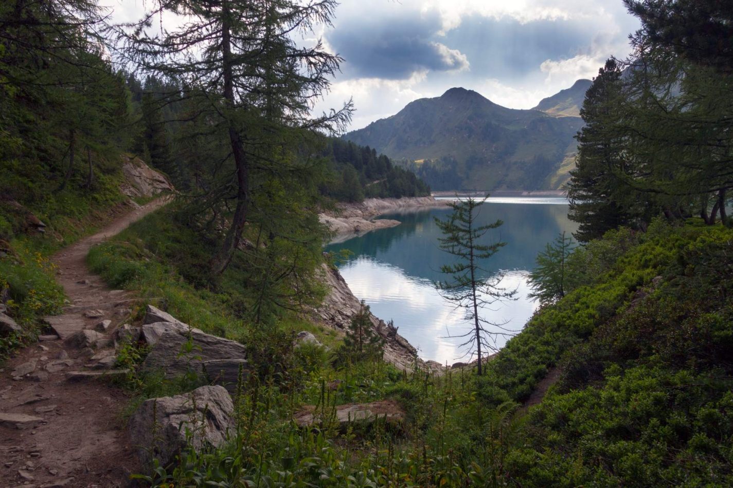 Storvandre: Ritom Lake