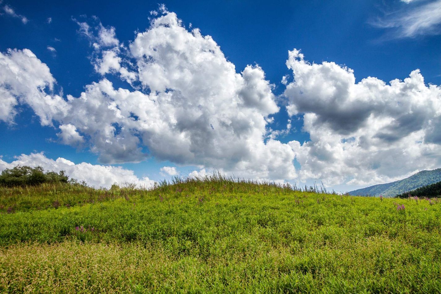Storvandre: Cerkni� ko jezero