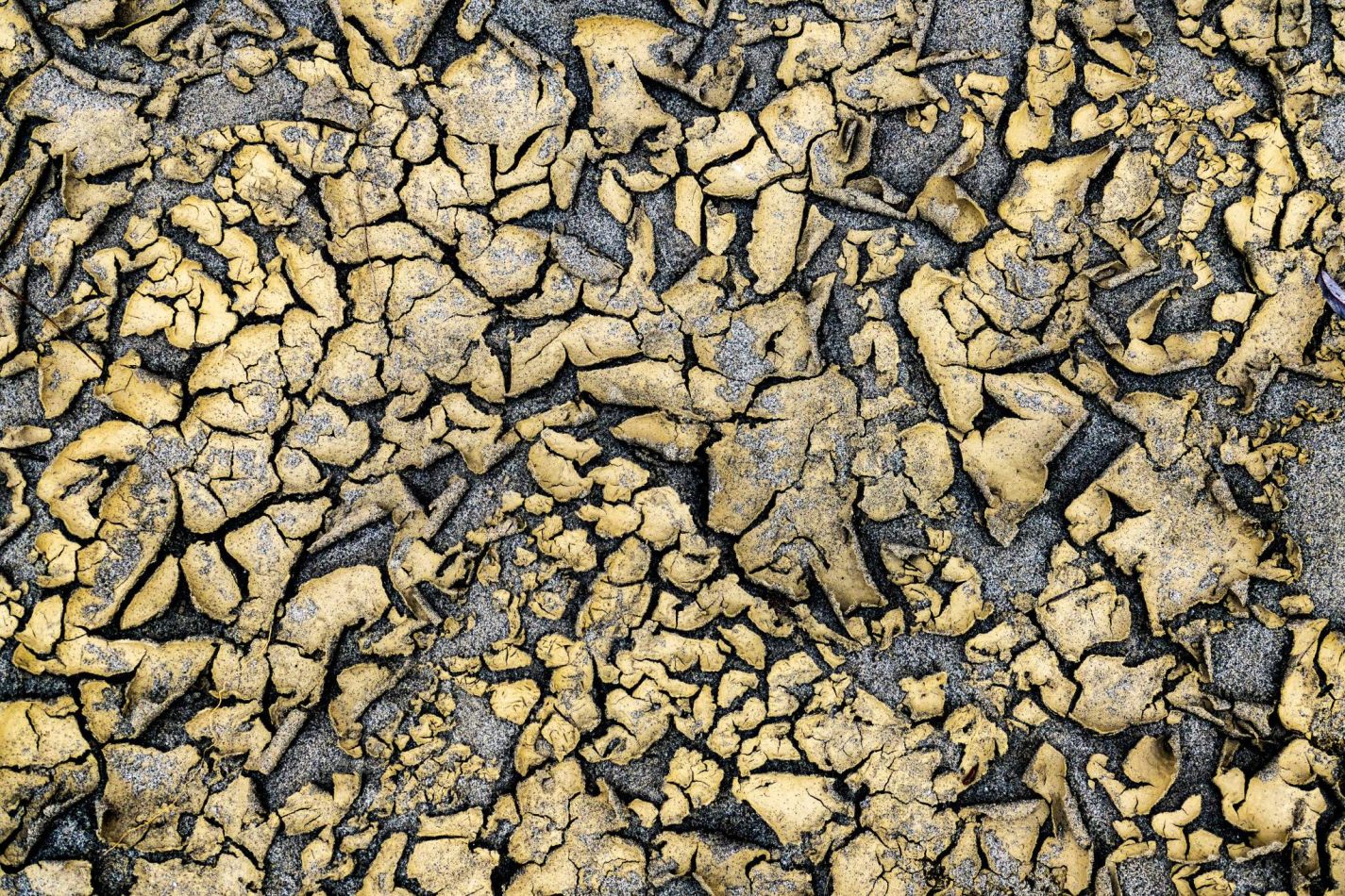 Storvandre: Golena del Po