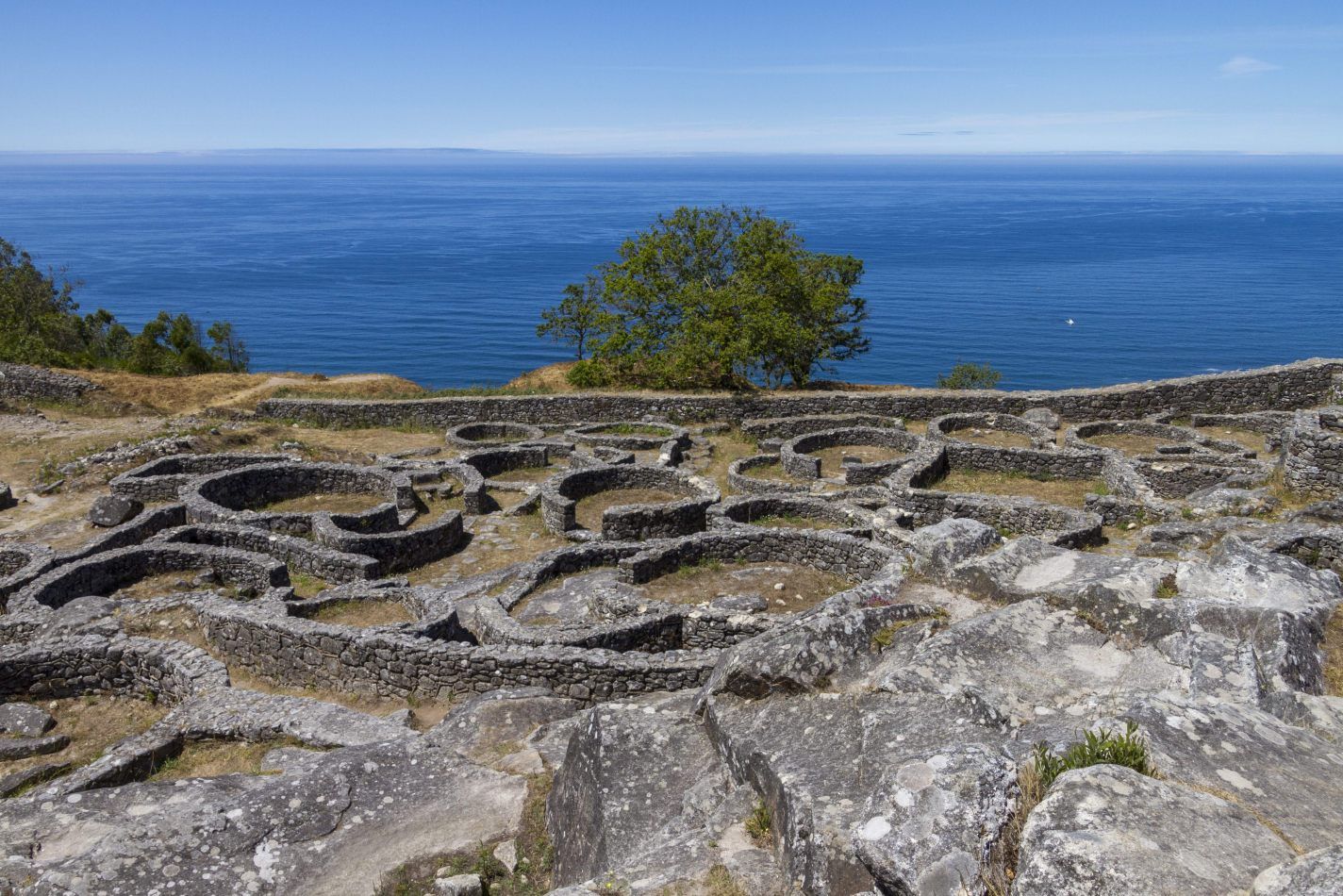 Storvandre: Santa Trega