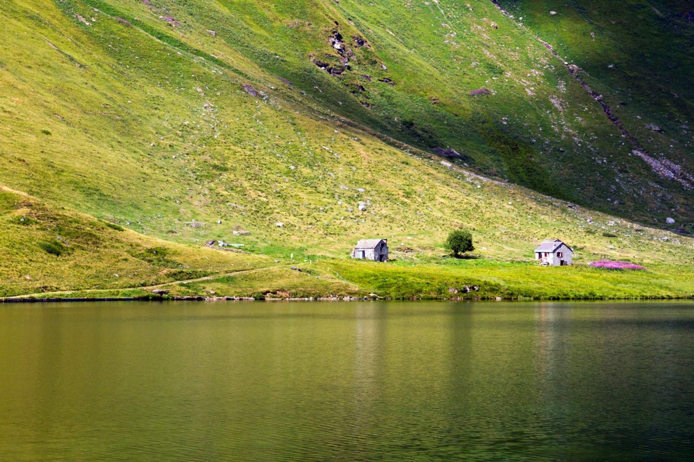 Storvandre: Ritom Lake
