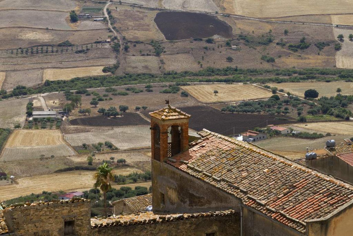 Storvandre: Sperlinga