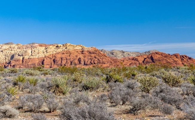 Henderson It s a small world