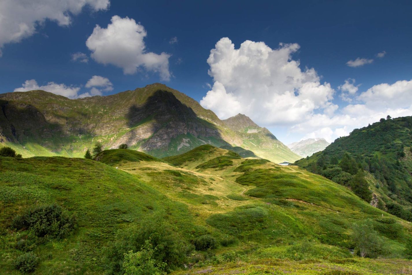 Storvandre: Ritom Lake