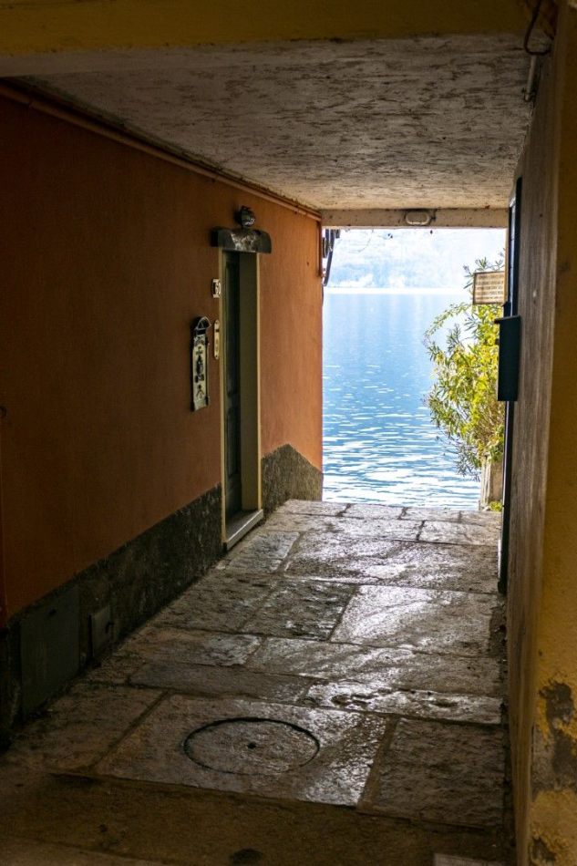 Storvandre: Carate Urio