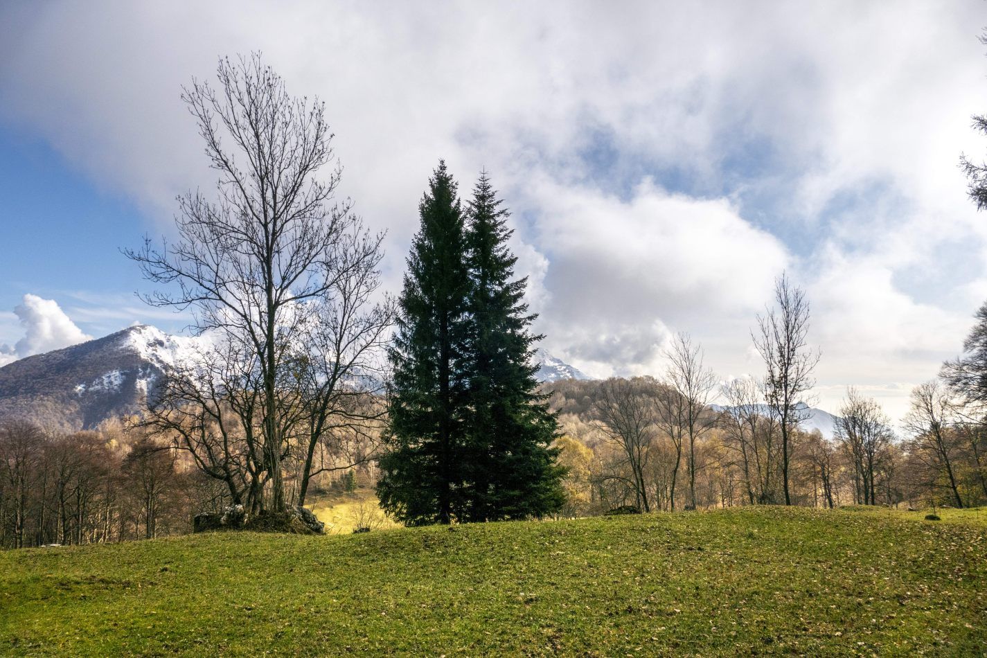 Storvandre: Piani Resinelli