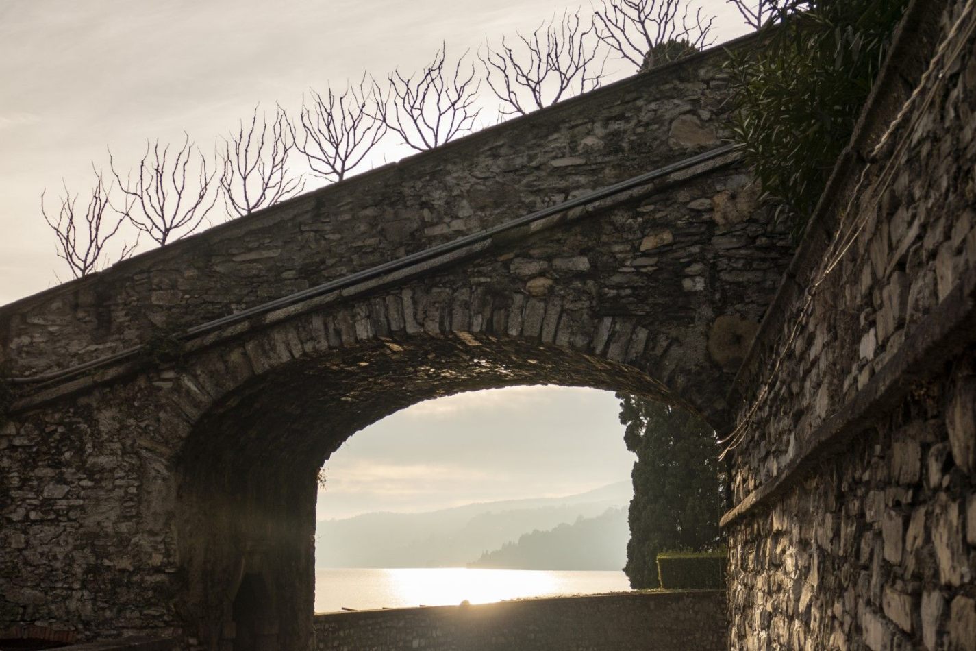 Storvandre: Carate Urio