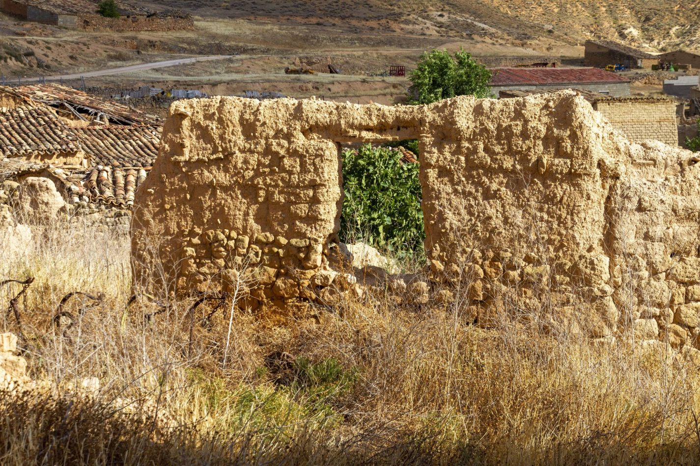 Storvandre: Montuenga