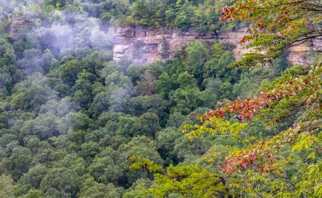 Lexington Red River Gorge  Natural Bridge State Park