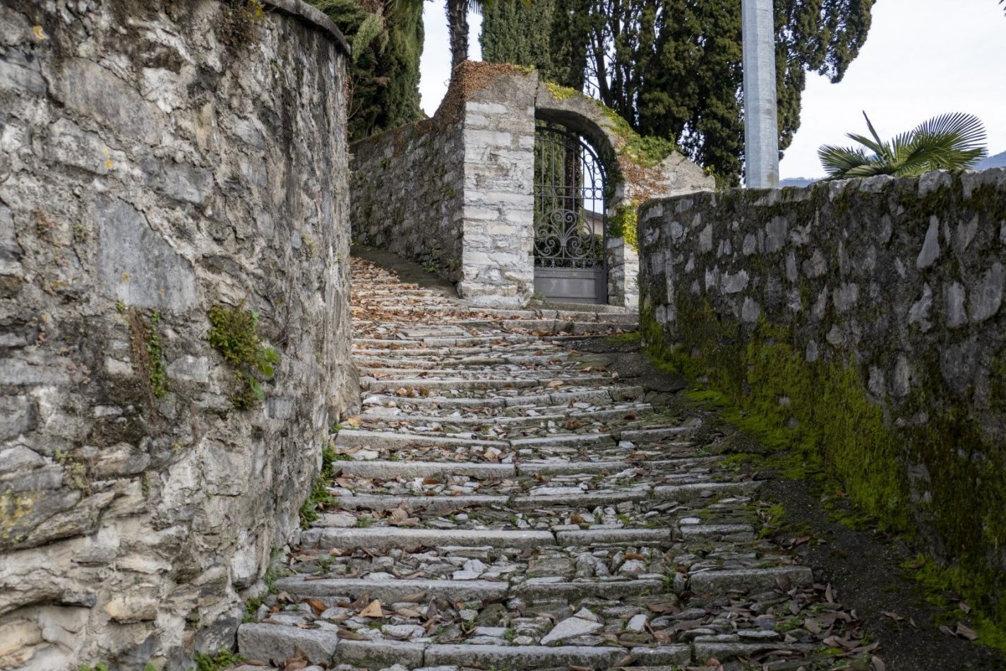 Storvandre: Carate Urio