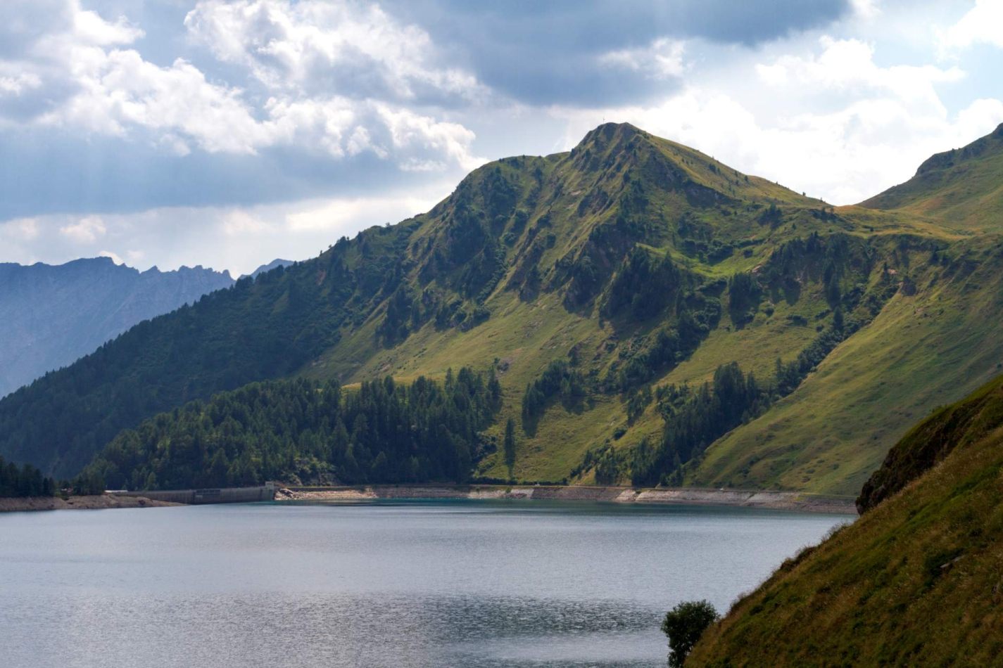 Storvandre: Ritom Lake