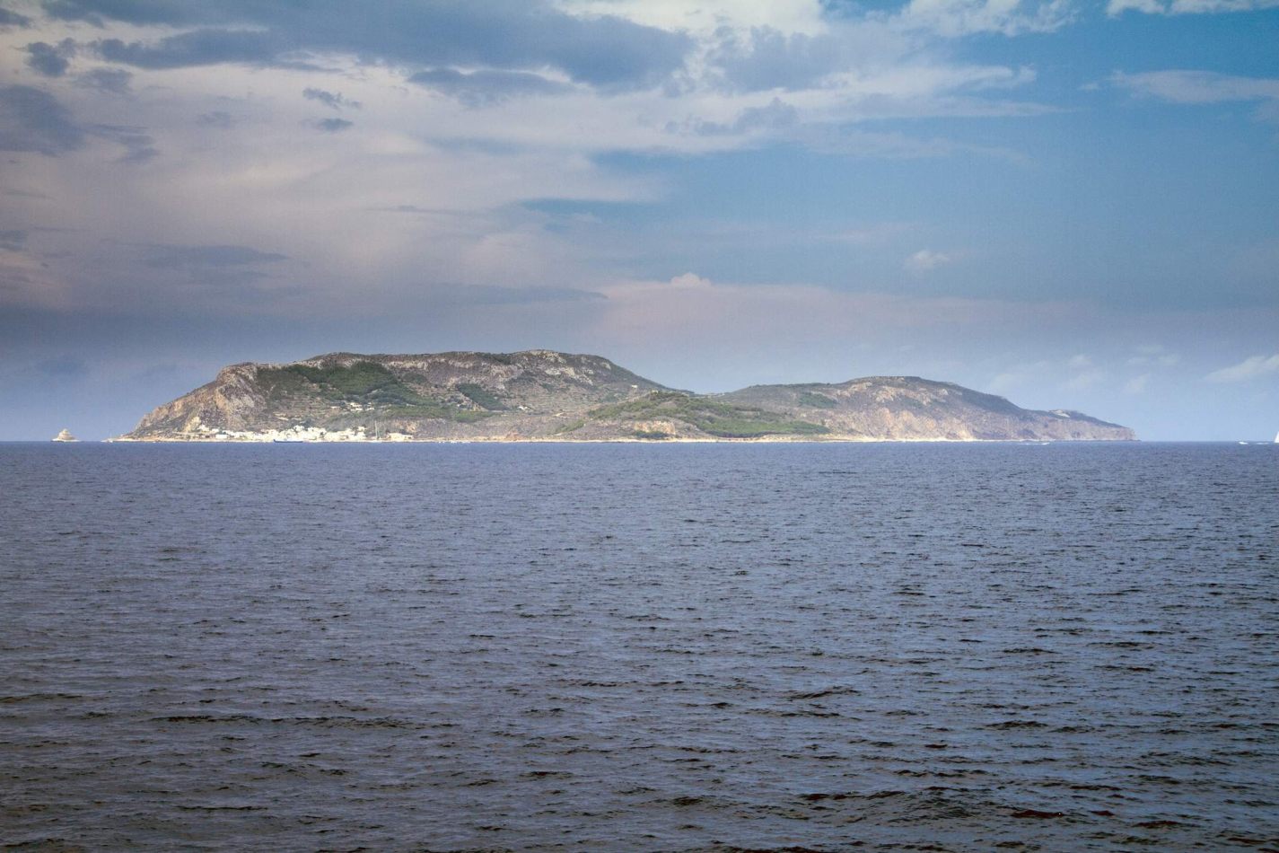 Storvandre: Favignana