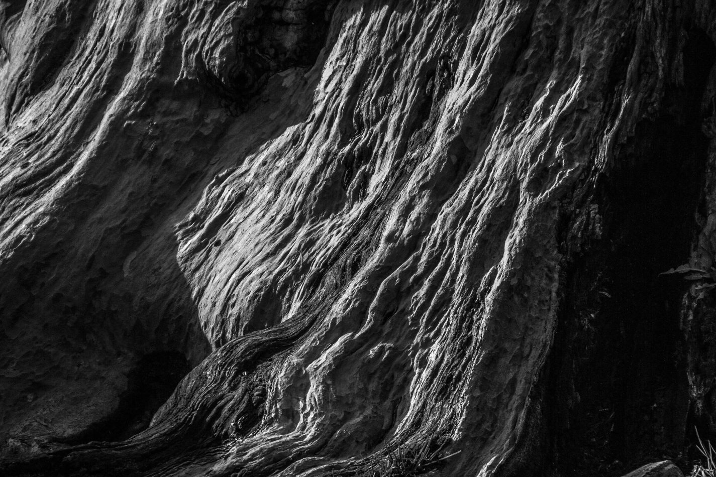 Storvandre: Istanbul