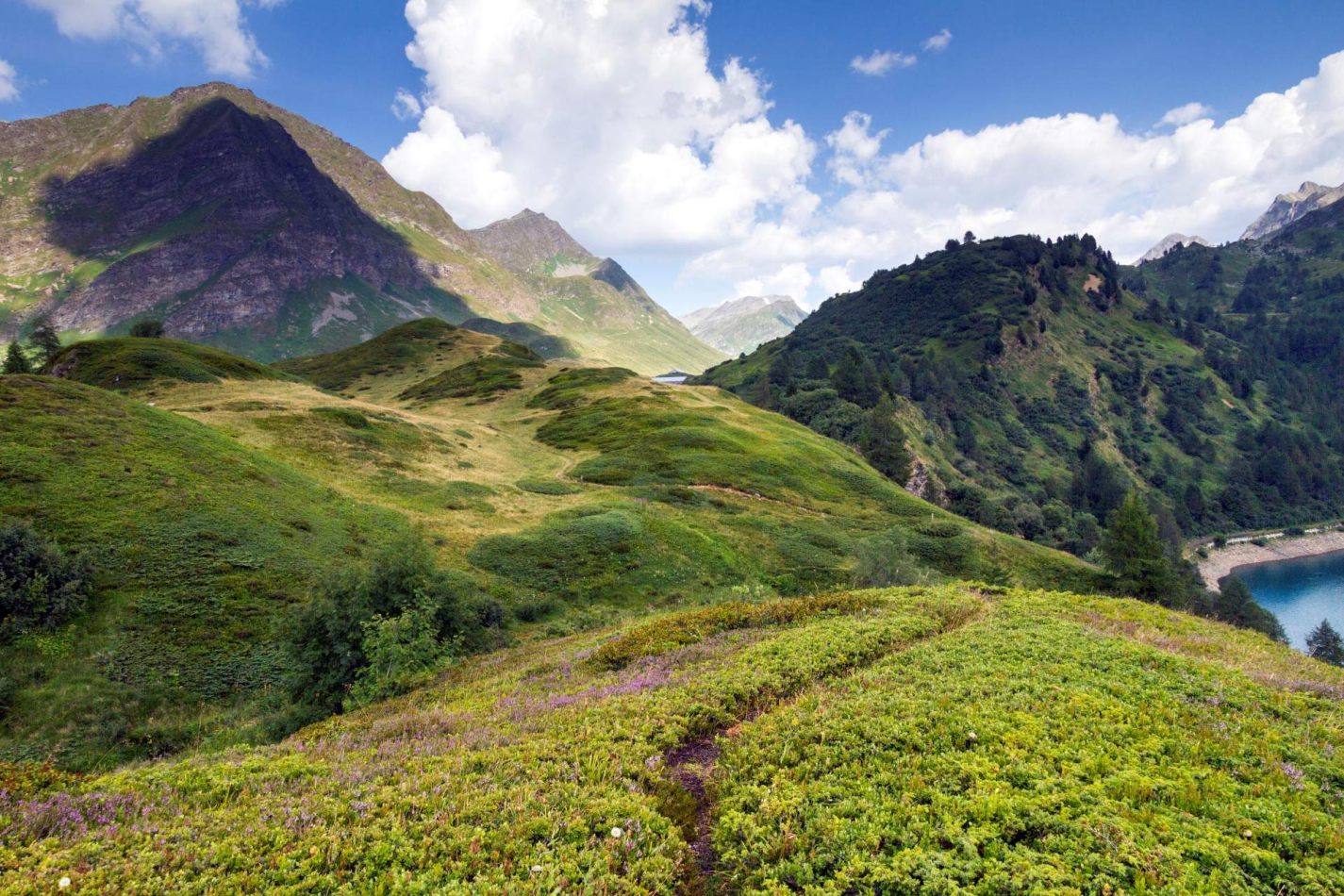 Storvandre: Ritom Lake