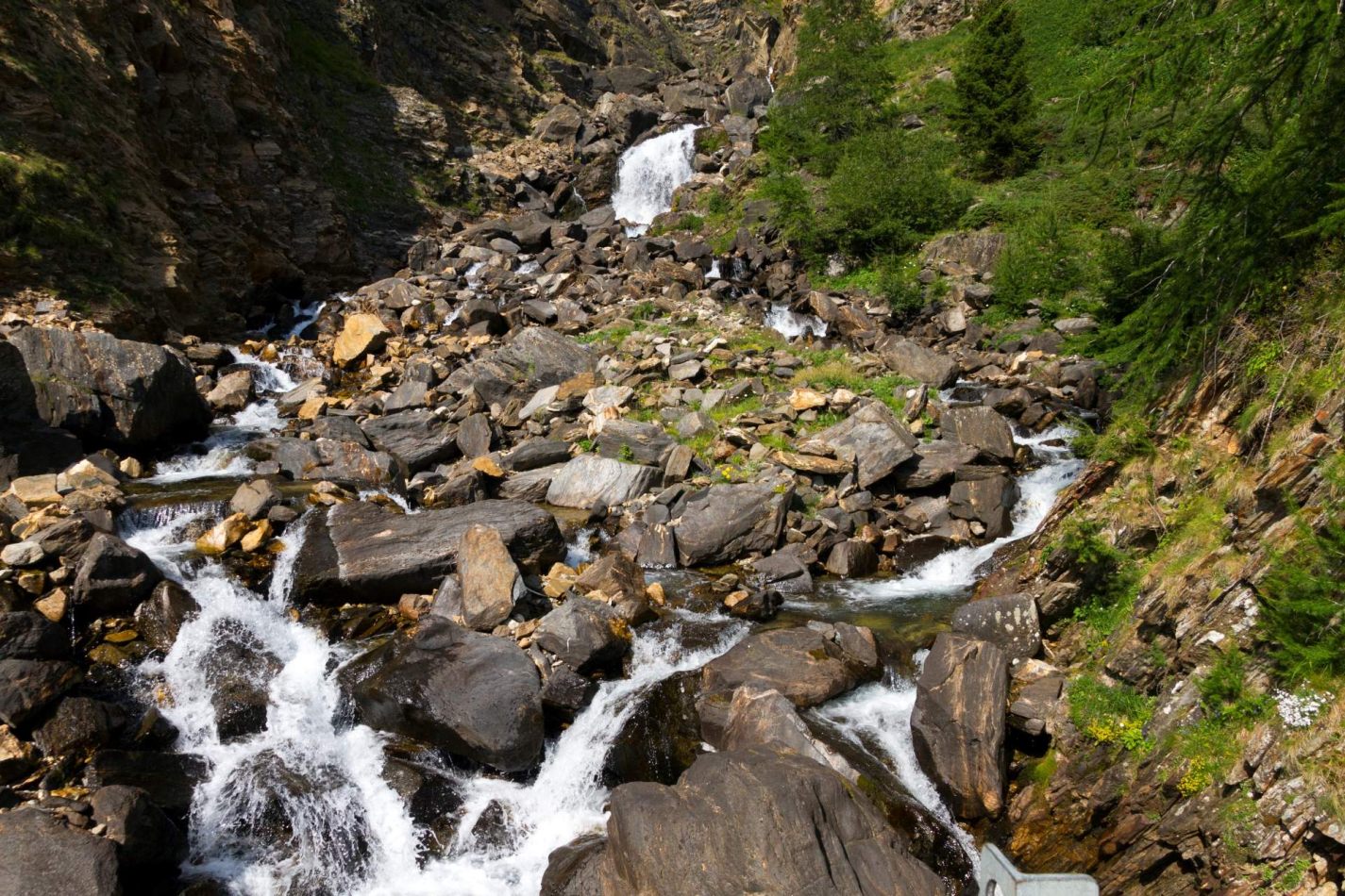 Storvandre: Ritom Lake