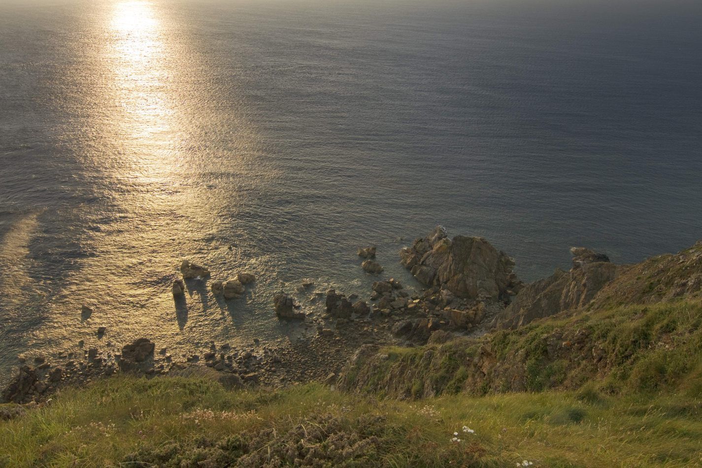 Storvandre: Cap de la Hague