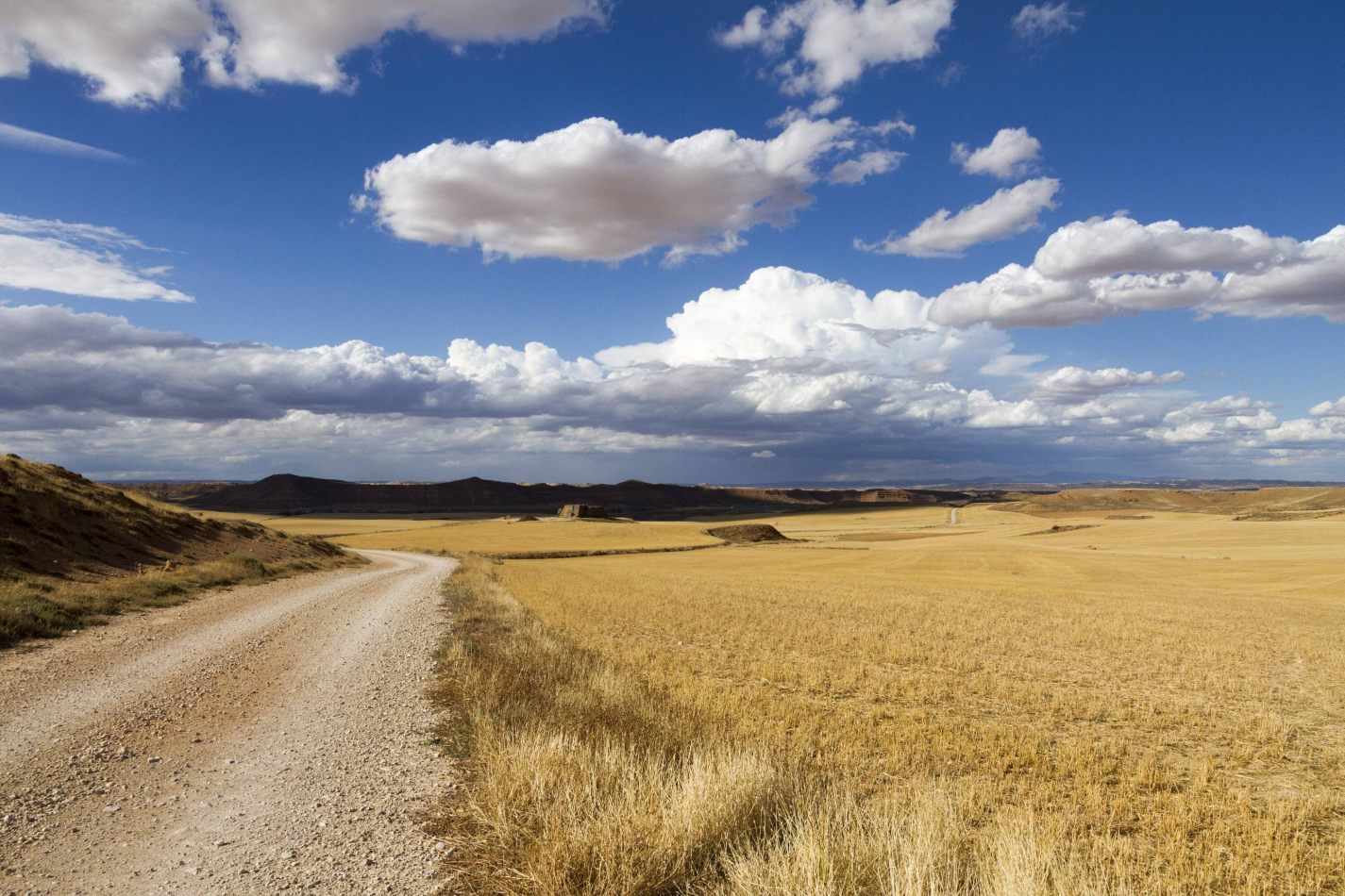 Storvandre: Montuenga