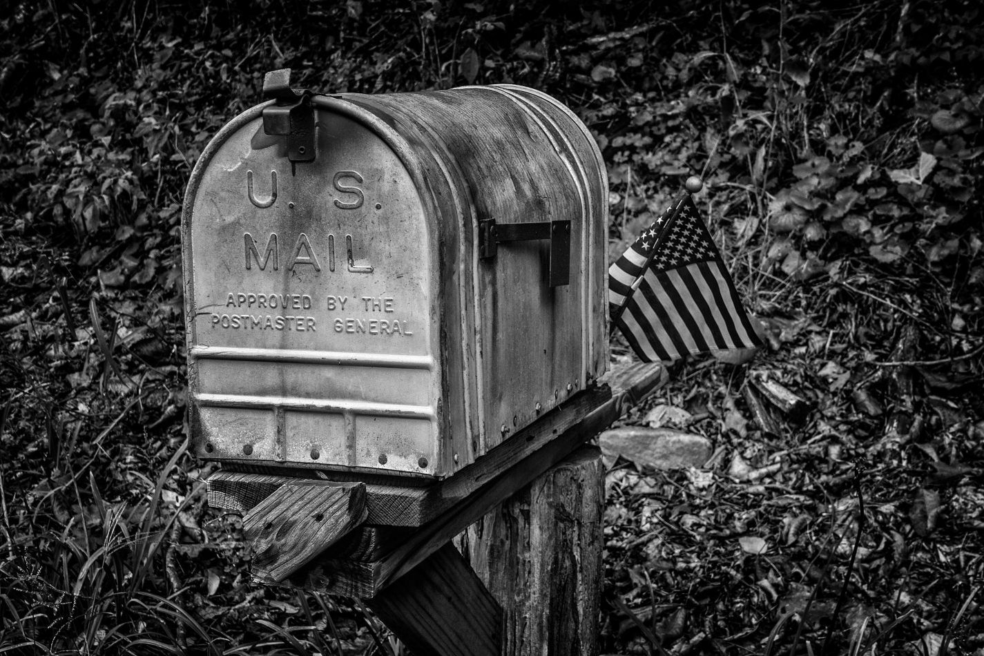 Storvandre: Virginia