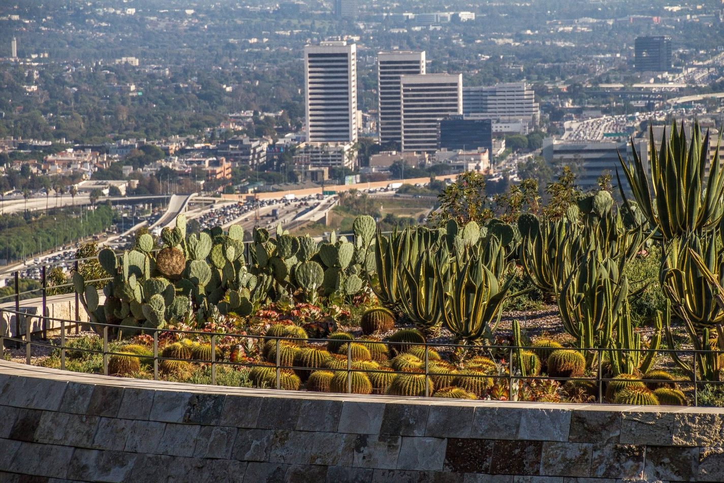 Storvandre: Los Angeles