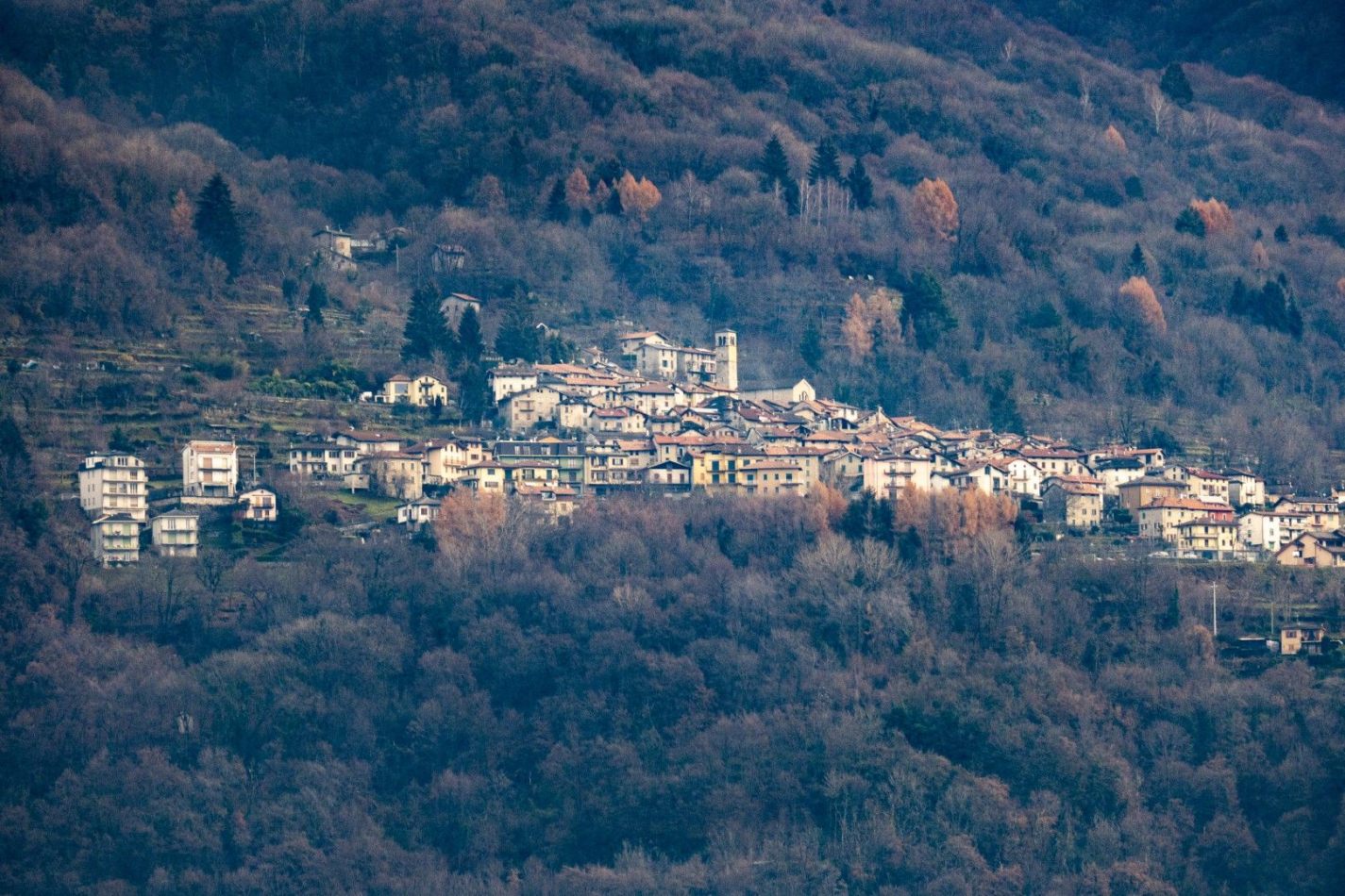 Storvandre: Carate Urio