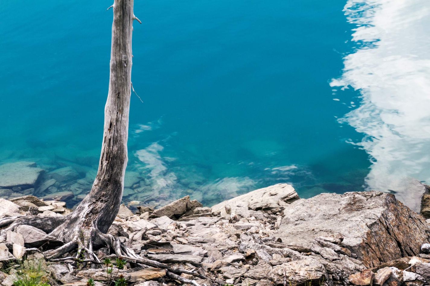 Storvandre: Ritom Lake